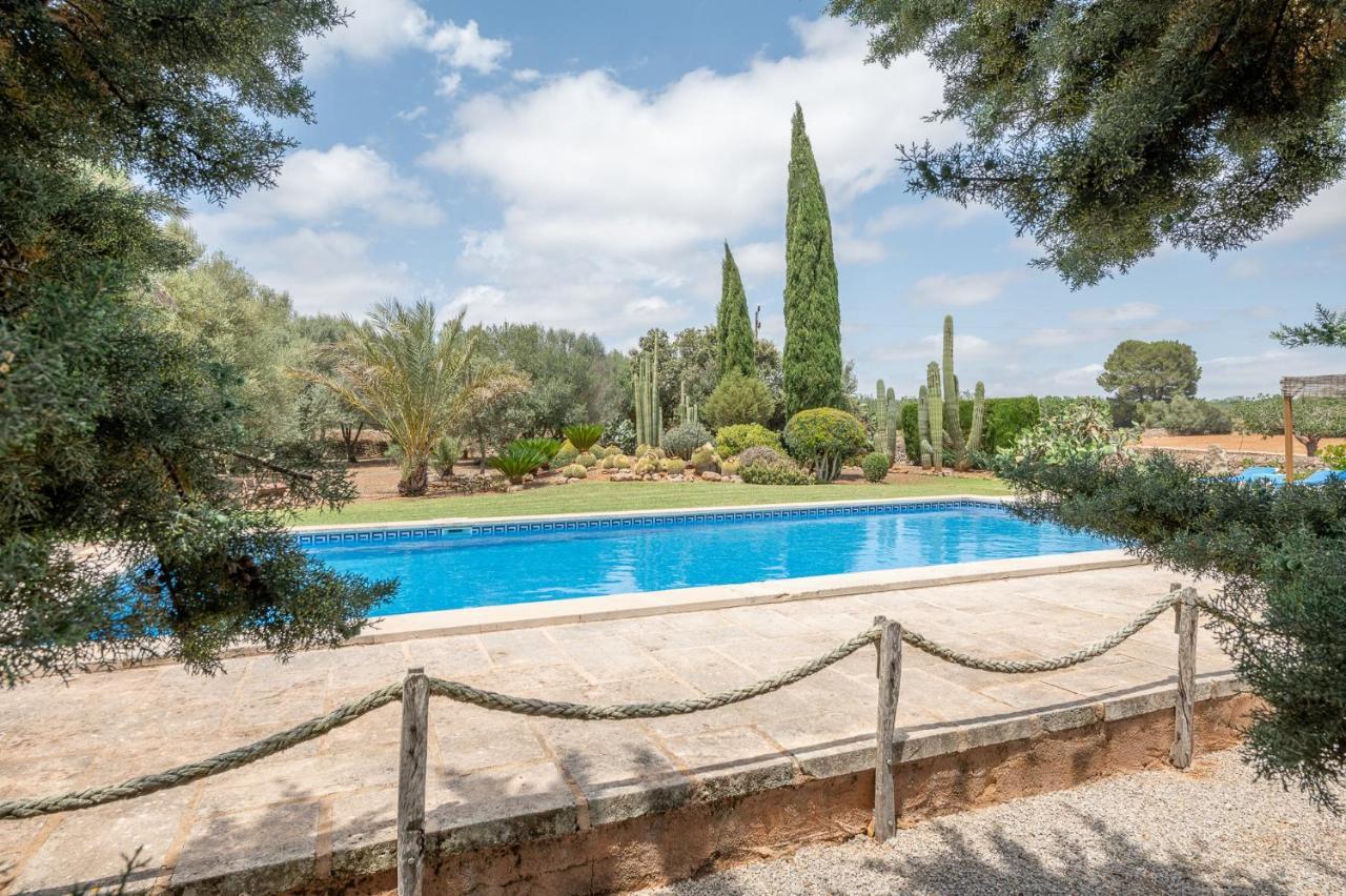 Ses Rotes De Son Rossinyol Campos (Mallorca)
