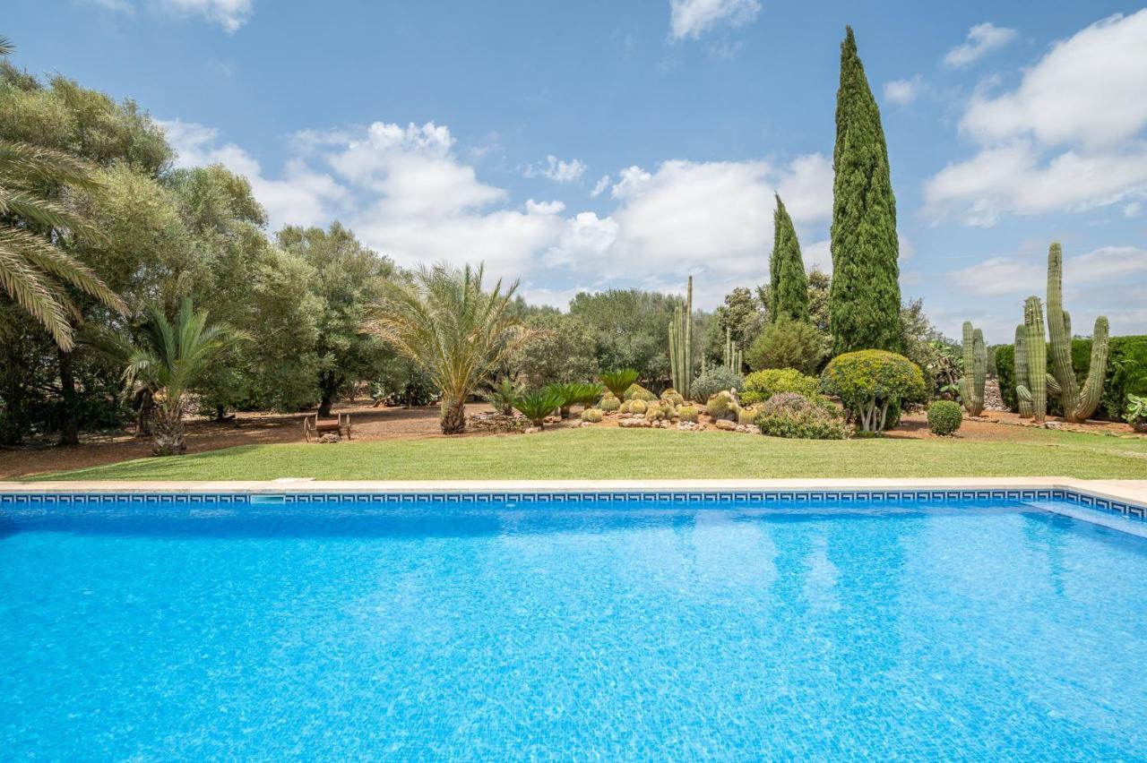 Ses Rotes De Son Rossinyol * Campos (Mallorca)